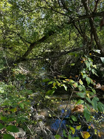 $38,000 | Lot Evergreen Evergreen Avenue, Portage, IN 46368