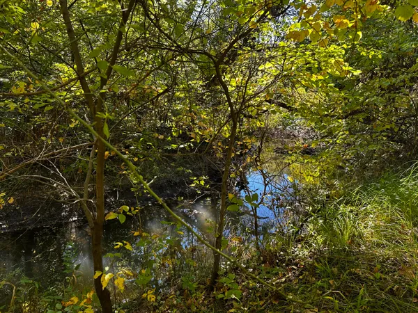 $38,000 | Lot Evergreen Evergreen Avenue, Portage, IN 46368