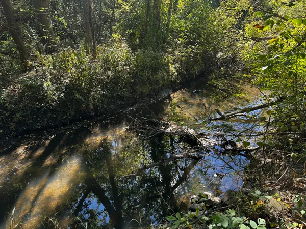 $38,000 | Lot Evergreen Evergreen Avenue, Portage, IN 46368