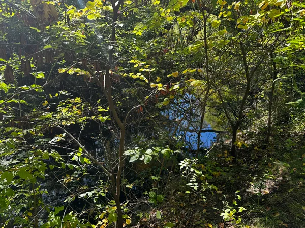 $38,000 | Lot Evergreen Evergreen Avenue, Portage, IN 46368