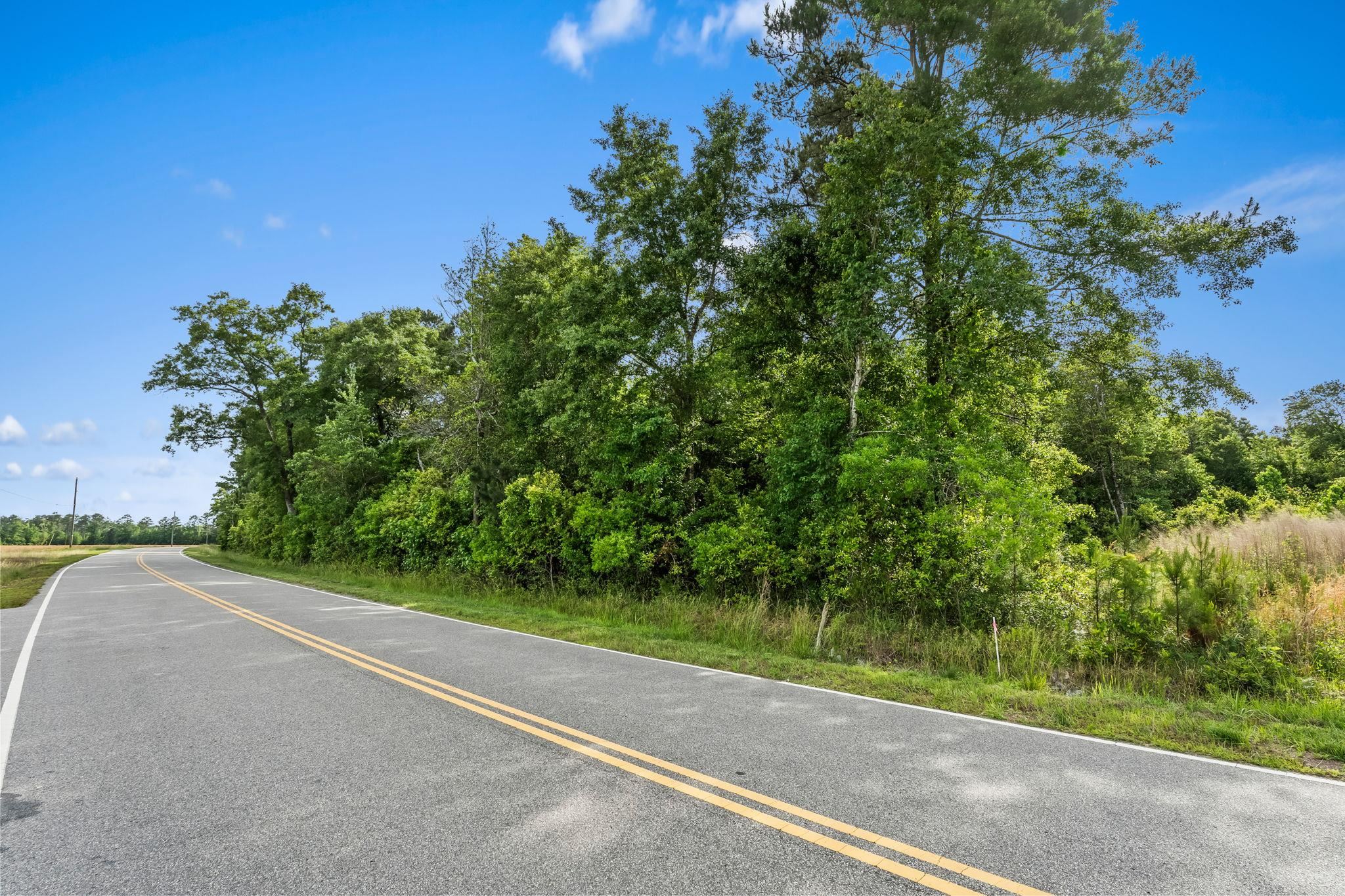 2850 Gause Road Loris, SC 29569 - Photo 14 of 24