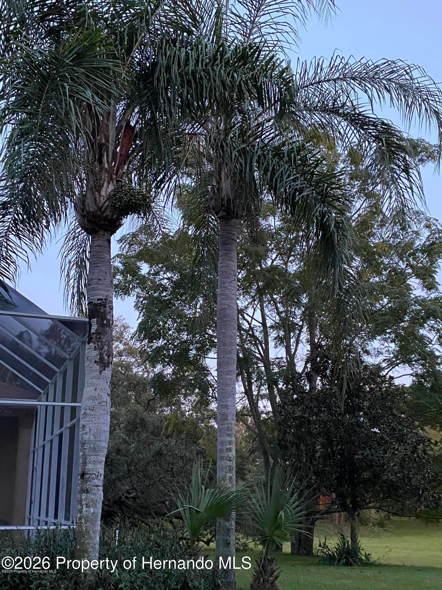 4321 Joshua Court Spring Hill, FL 34607 - Photo 47 of 51 Gallery Image 47