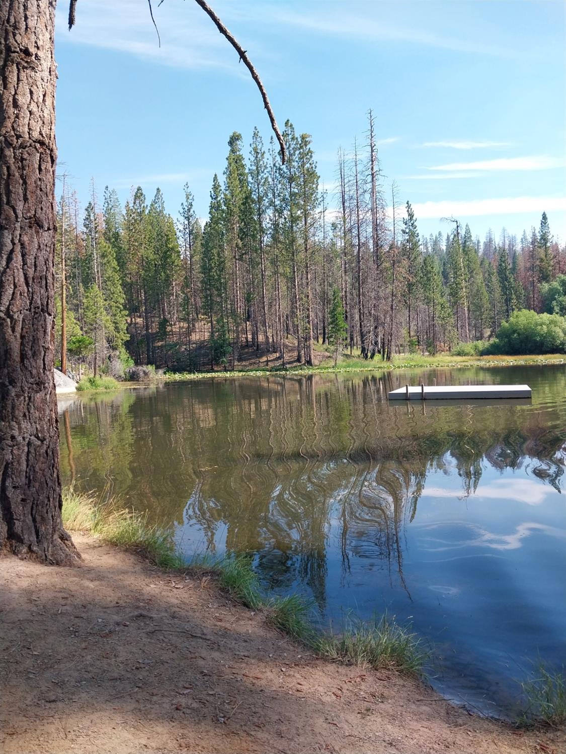 9 Tamarack Trail North Fork, CA 93643 - Photo 7 of 9 a view of a lake with houses in the background