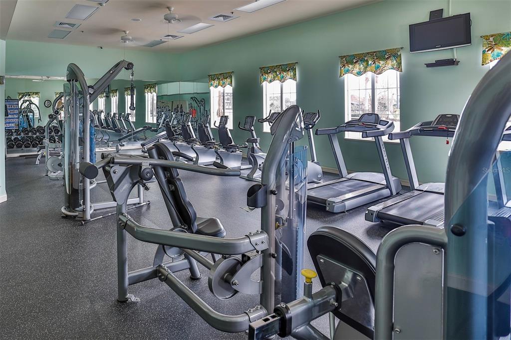 8065 Bridgeport Bay Circle Mount Dora, FL 32757 - Photo 48 of 60 a view of a room with gym equipment