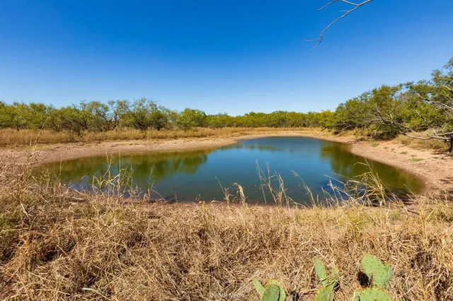 a view of a lake with a yard