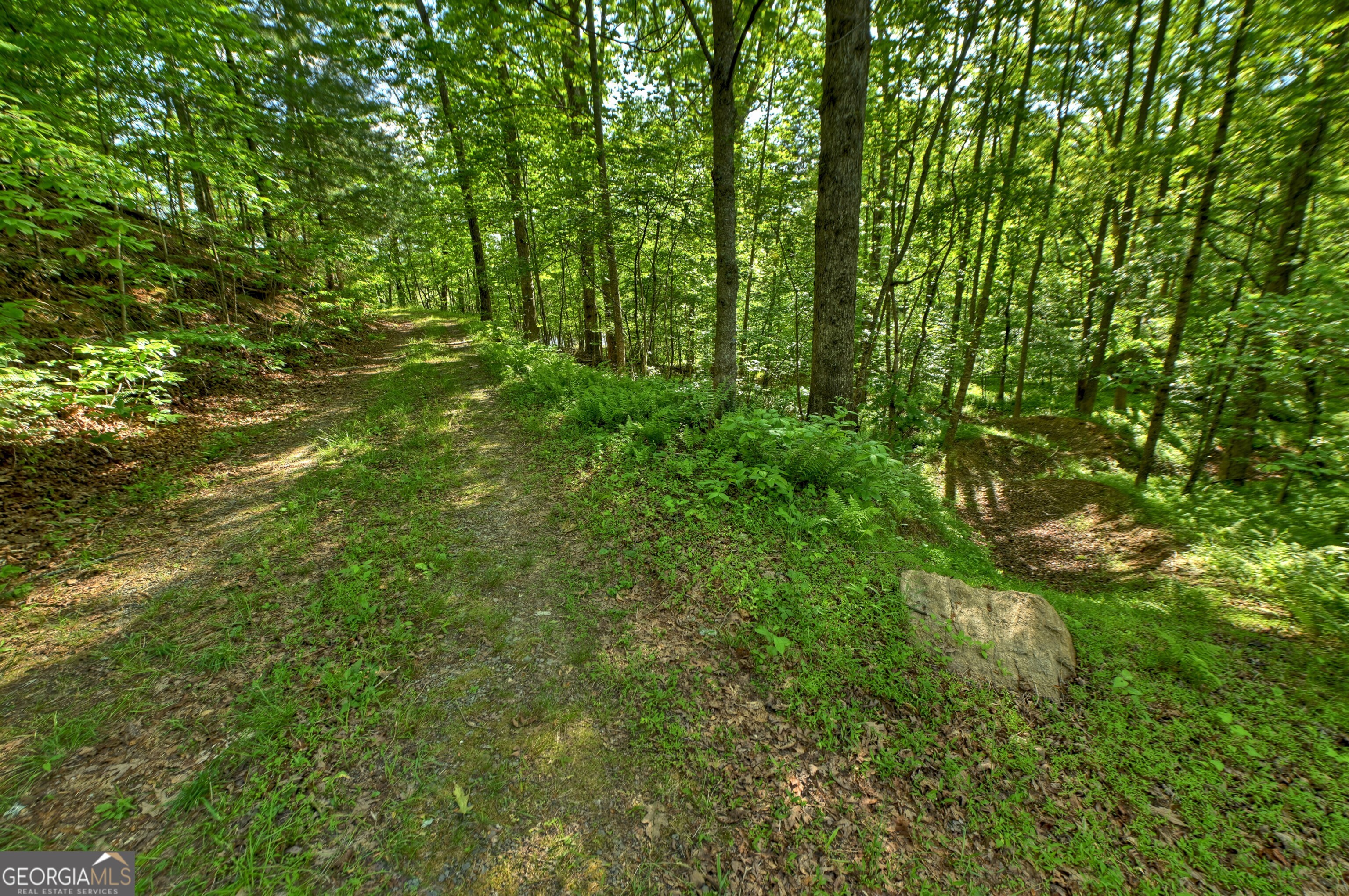 8-ac Mcnelley Road Morganton, GA 30560 - Photo 45 of 47