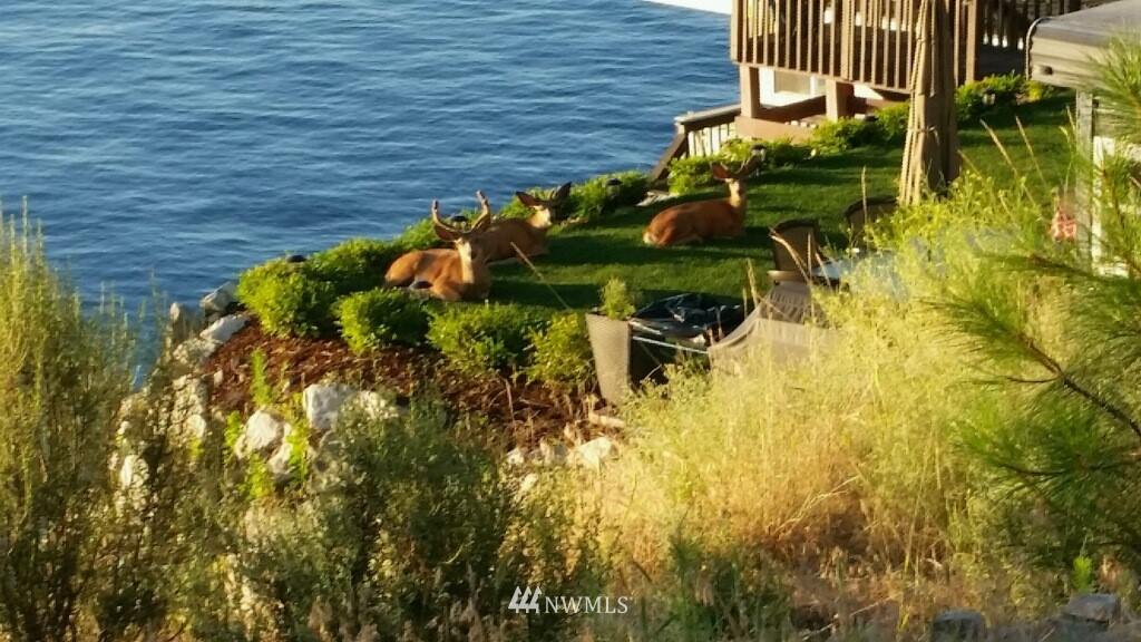 10670 South Lakeshore Road Chelan, WA 98816 - Photo 24 of 25 Gallery Image 24