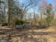 9665 Docs Place La Plata, MD 20646 - Photo 3 of 5