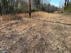 9665 Docs Place La Plata, MD 20646 - Photo 5 of 5