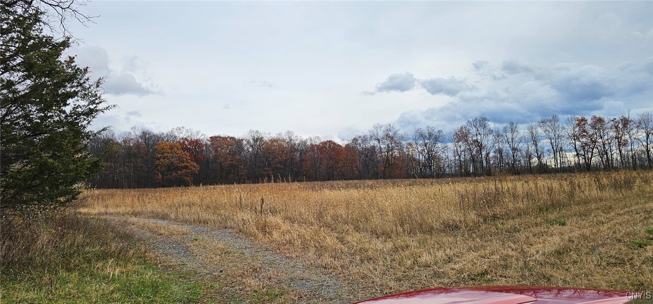 East Lake Road Geneva, NY 14456 - Photo 13 of 31