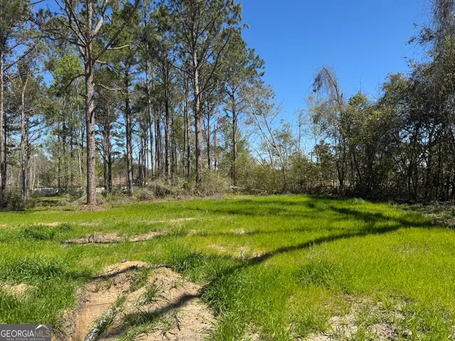 a view of a park with large trees