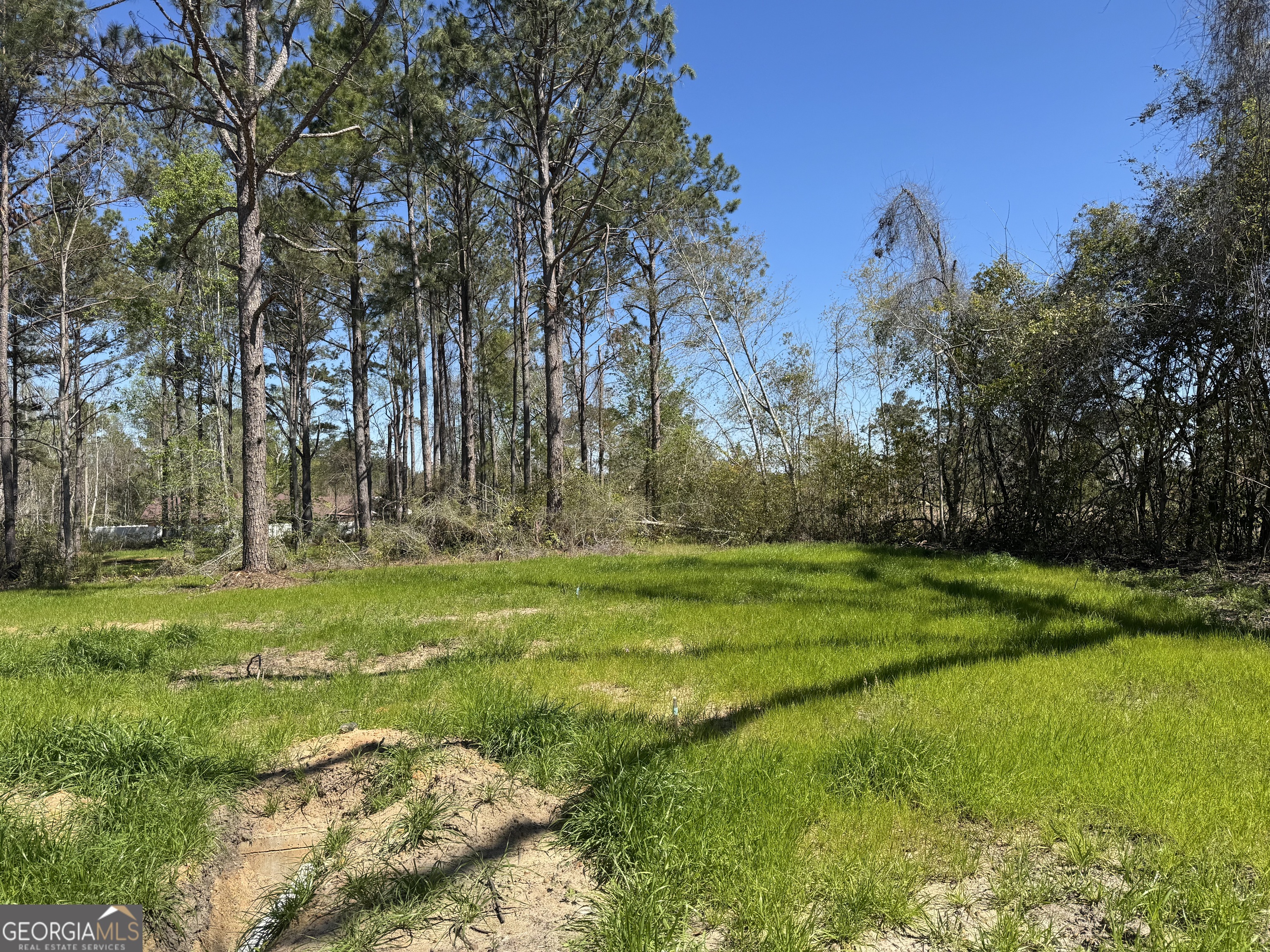 1505 West 4th St Extension Alma, GA 31510 - Photo 22 of 22 a view of a park with large trees