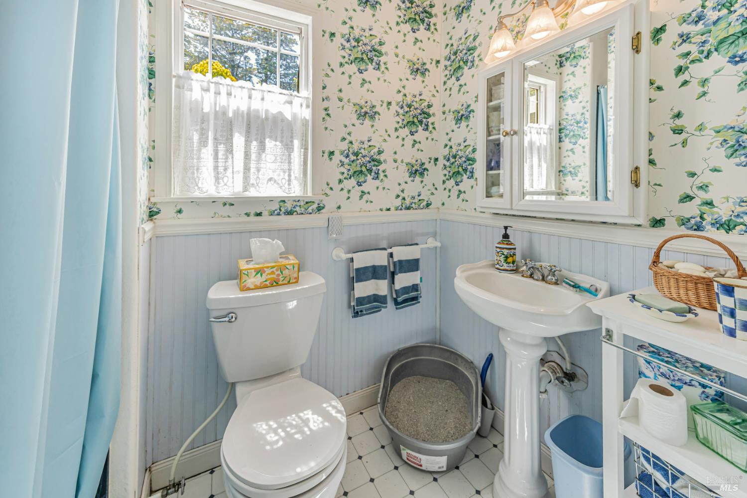 3590 Burnside Road Sebastopol, CA 95472 - Photo 31 of 69 a bathroom with a toilet a sink and a mirror