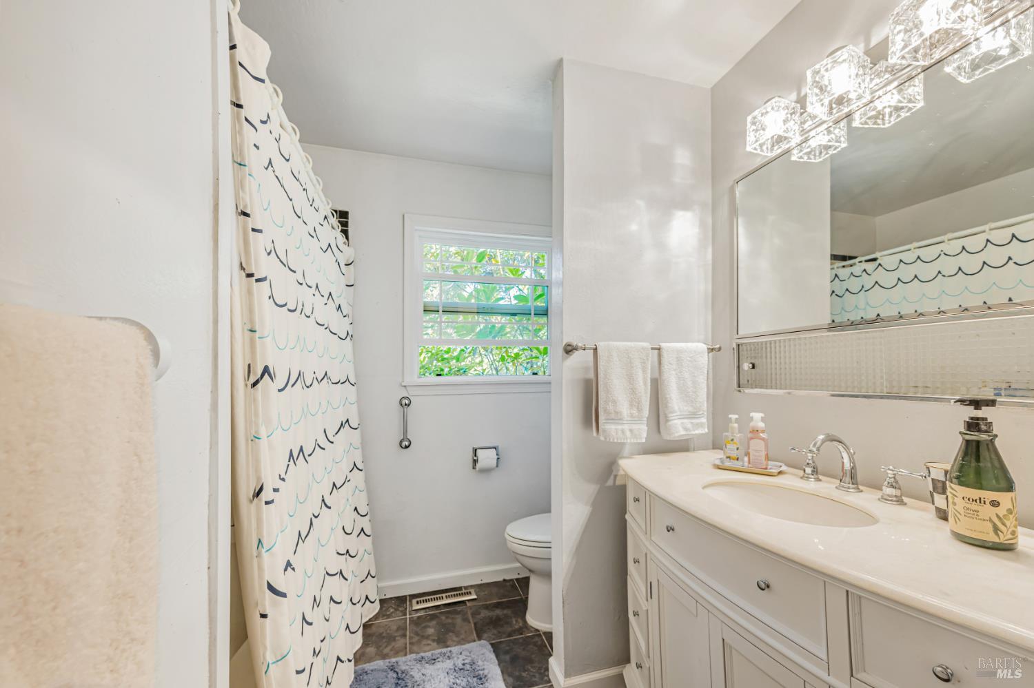 3590 Burnside Road Sebastopol, CA 95472 - Photo 32 of 69 a bathroom with a granite countertop sink a toilet and a mirror