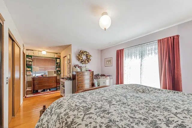 a view of a yard with plants and trees