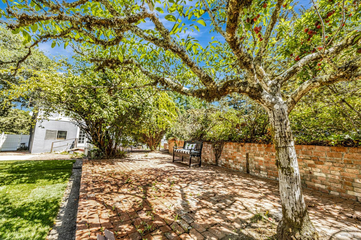 3590 Burnside Road Sebastopol, CA 95472 - Photo 44 of 69