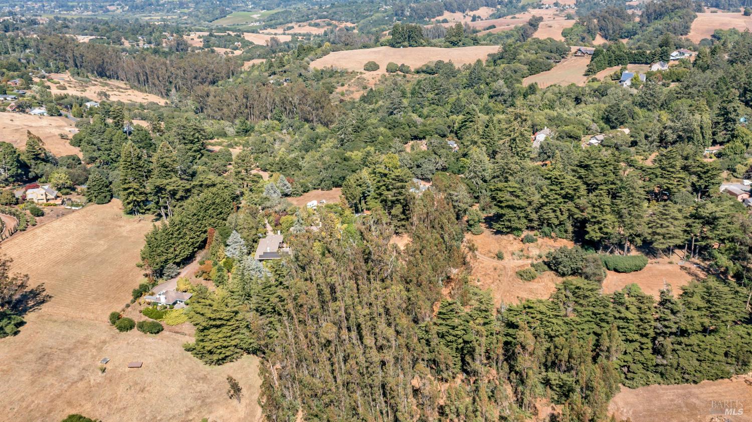 3590 Burnside Road Sebastopol, CA 95472 - Photo 48 of 69 a view of a yard with a tree