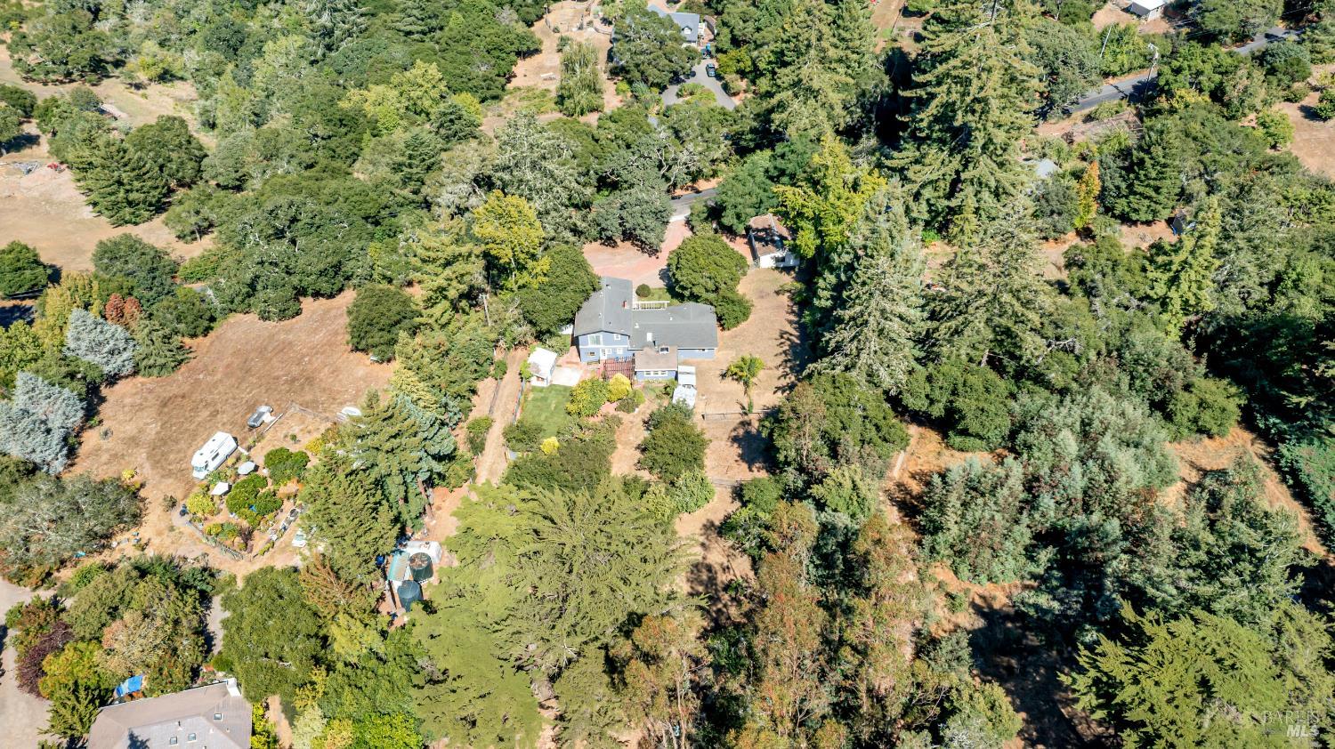 3590 Burnside Road Sebastopol, CA 95472 - Photo 49 of 69 a picture of tree