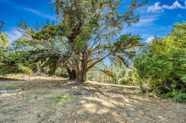 $1,099,000 | 3590 Burnside Road, Sebastopol, CA 95472