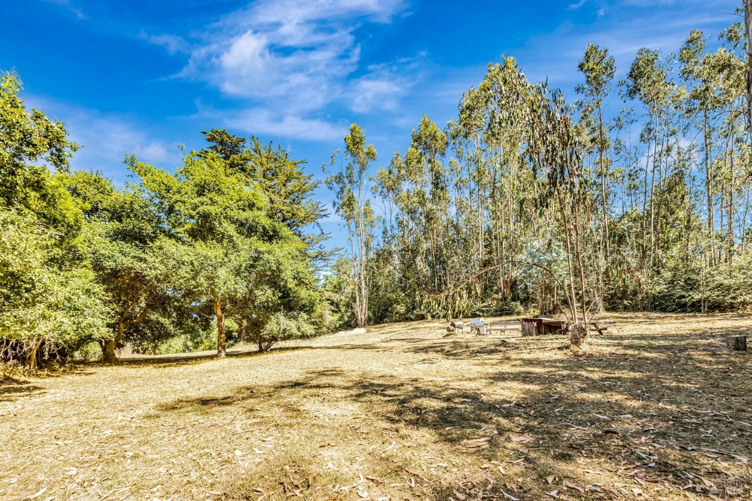 3590 Burnside Road Sebastopol, CA 95472 - Photo 56 of 69 a view of outdoor space with trees