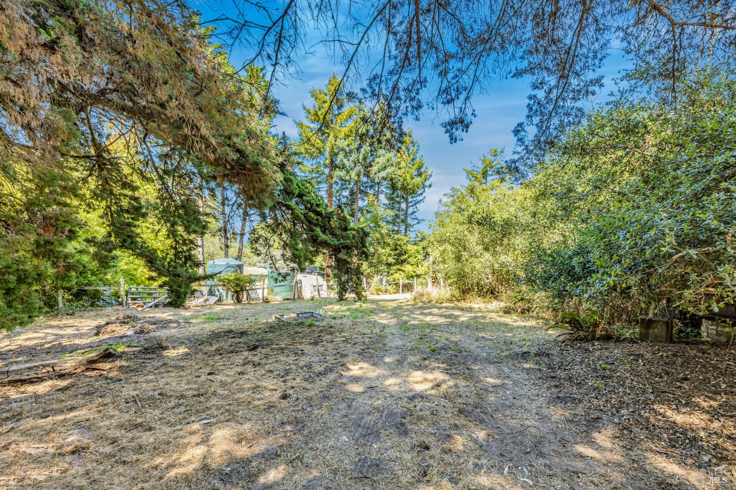 3590 Burnside Road Sebastopol, CA 95472 - Photo 58 of 69 a view of a yard with large trees