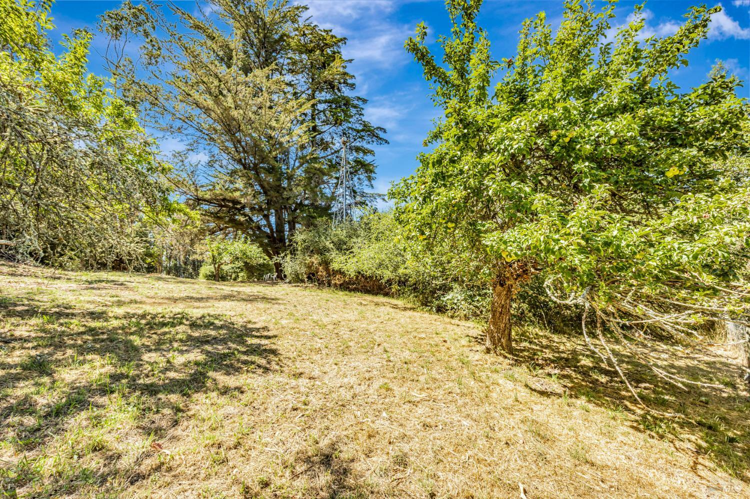3590 Burnside Road Sebastopol, CA 95472 - Photo 59 of 69