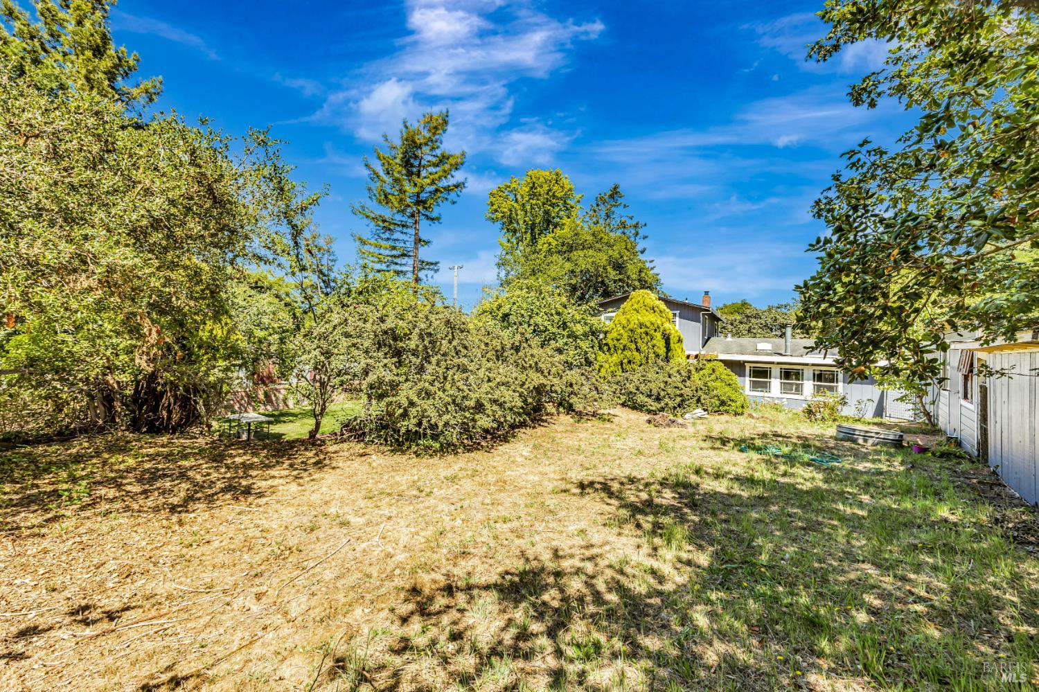 3590 Burnside Road Sebastopol, CA 95472 - Photo 61 of 69 a view of a yard with an tree