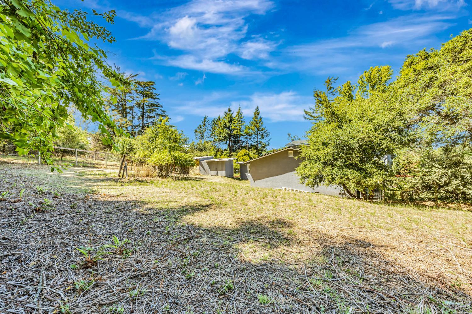 3590 Burnside Road Sebastopol, CA 95472 - Photo 63 of 69 a view of a yard with an trees