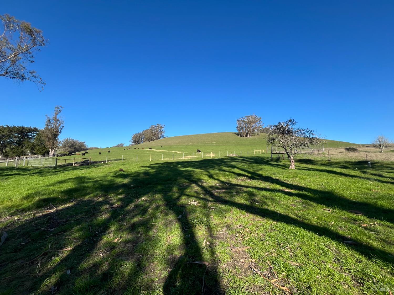 0 John Street Tomales, CA 94971 - Photo 11 of 20 a view of an ocean from a yard