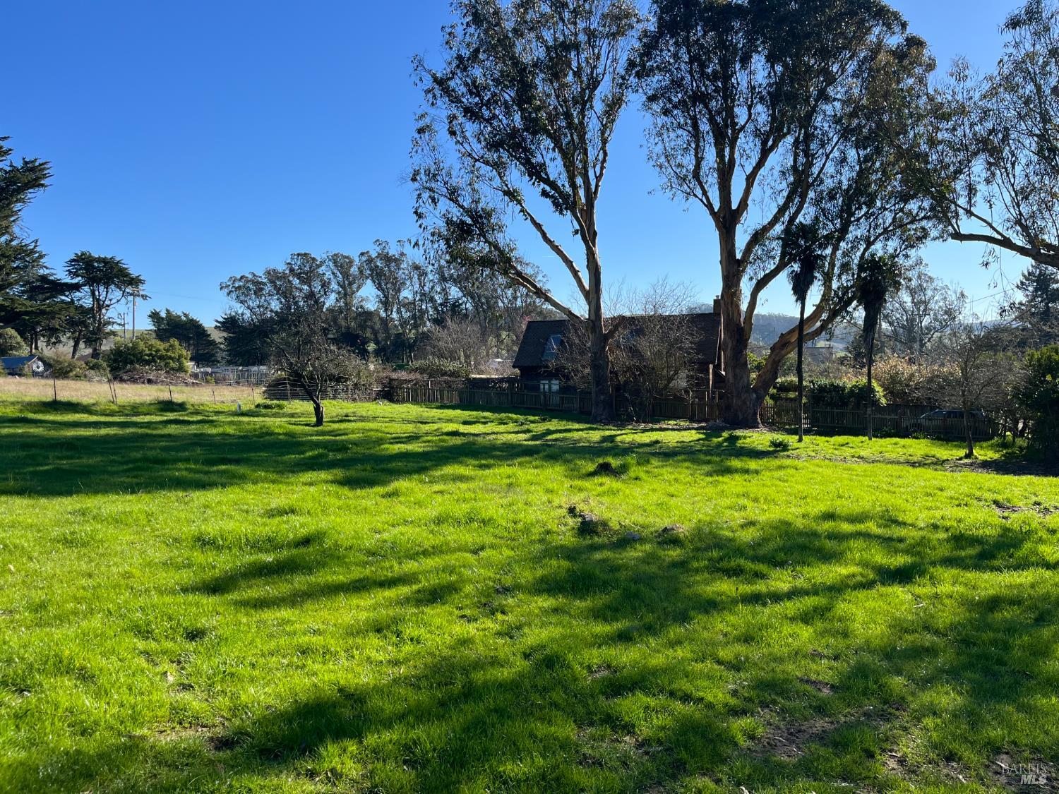 0 John Street Tomales, CA 94971 - Photo 2 of 20 a view of a park with large trees