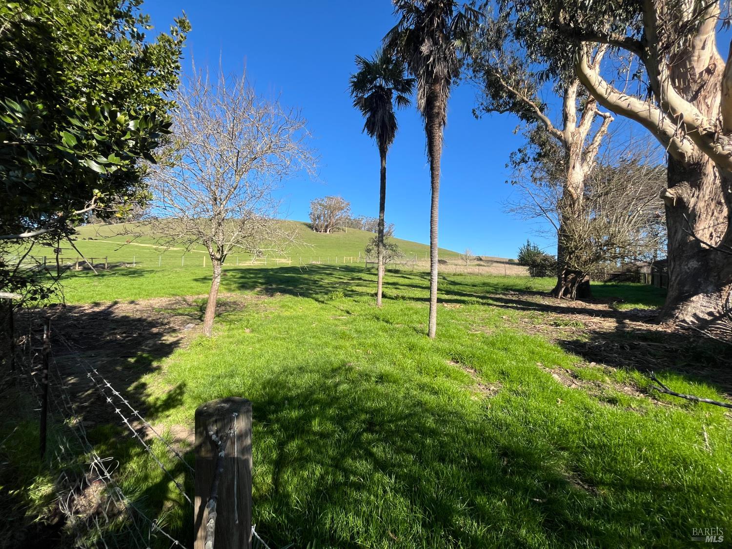 0 John Street Tomales, CA 94971 - Photo 4 of 20 a view of an outdoor space and a yard