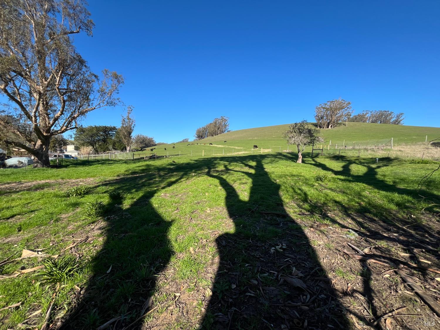 0 John Street Tomales, CA 94971 - Photo 10 of 20 a view of a lake with a house in the background