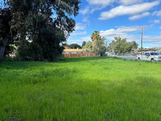 a view of a trees with a yard
