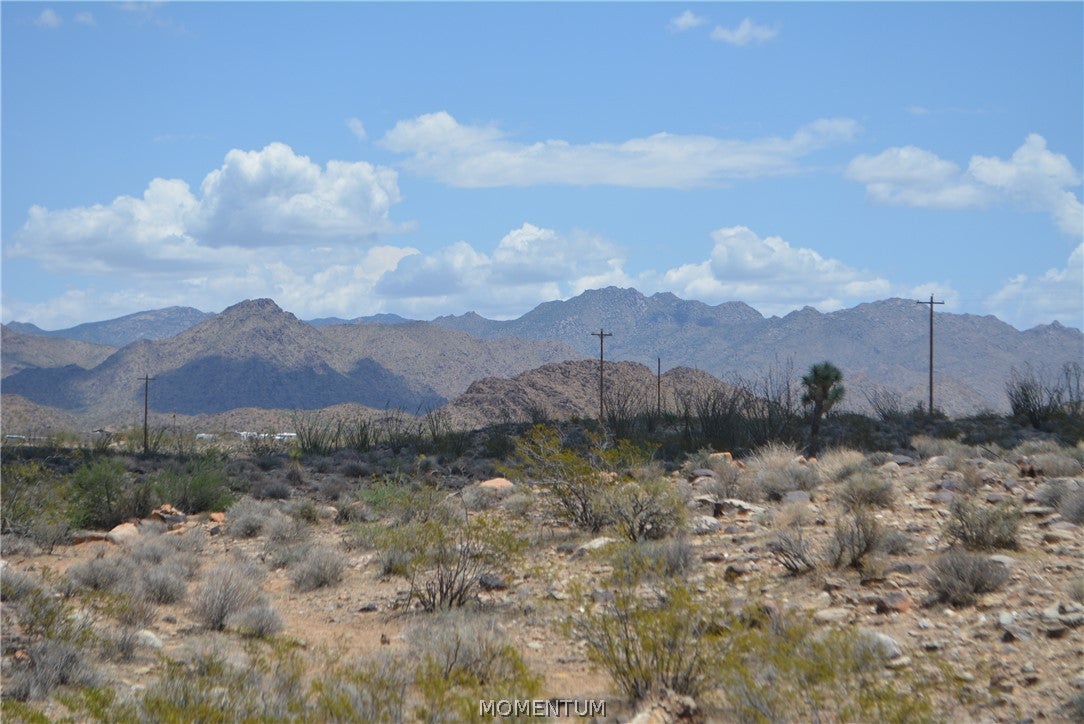 208-24-134 South Cameron Road Yucca, AZ 86438 - Photo 42 of 86 Gallery Image 42