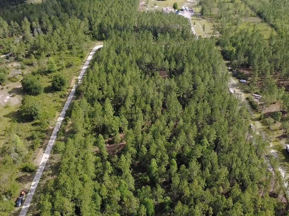 859 Wild Cur Road Pierson, FL 32180 - Photo 2 of 19