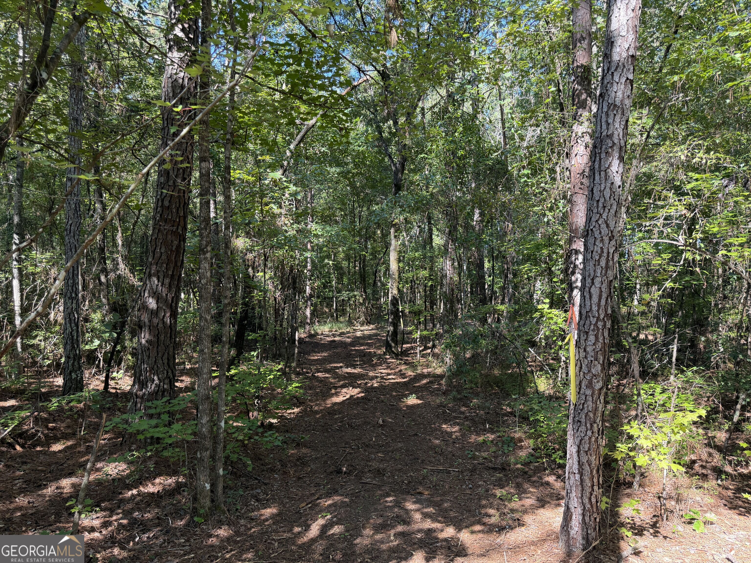 0 Pig Road Bartow, GA 30413 - Photo 30 of 44 Gallery Image 30