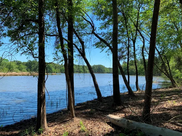 $995,000 | 3506 St Chandler Tx 75758, Frankston, TX 75763