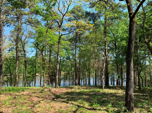 $995,000 | 3506 St Chandler Tx 75758, Frankston, TX 75763