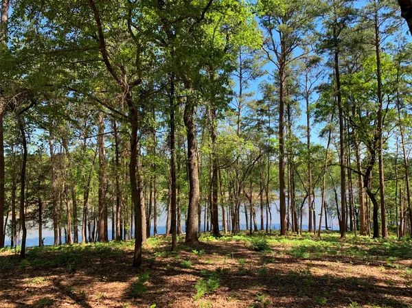 $995,000 | 3506 St Chandler Tx 75758, Frankston, TX 75763