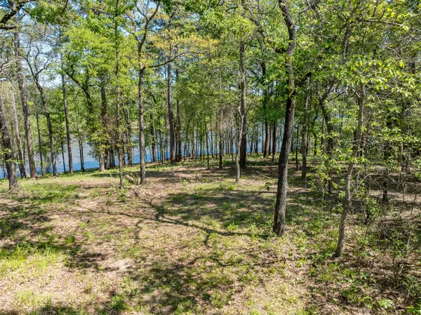 $995,000 | 3506 St Chandler Tx 75758, Frankston, TX 75763