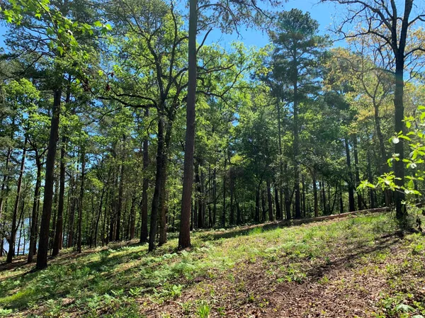 $995,000 | 3506 St Chandler Tx 75758, Frankston, TX 75763