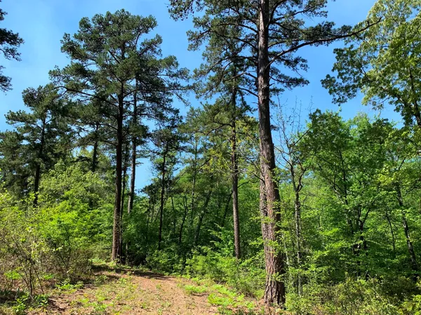 $995,000 | 3506 St Chandler Tx 75758, Frankston, TX 75763