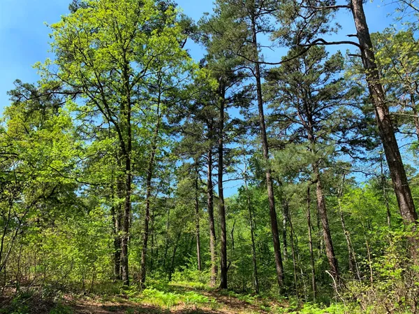 $995,000 | 3506 St Chandler Tx 75758, Frankston, TX 75763