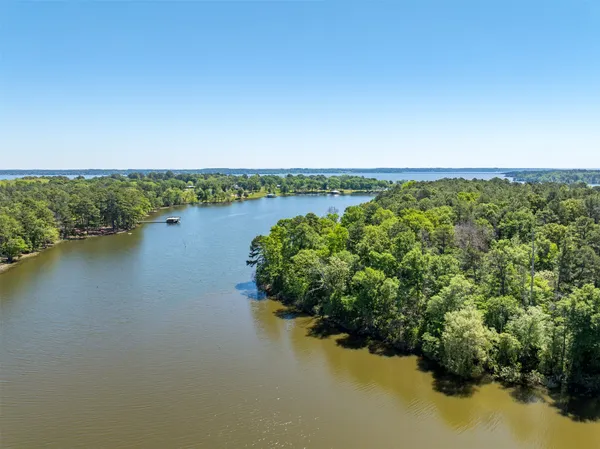 $995,000 | 3506 St Chandler Tx 75758, Frankston, TX 75763