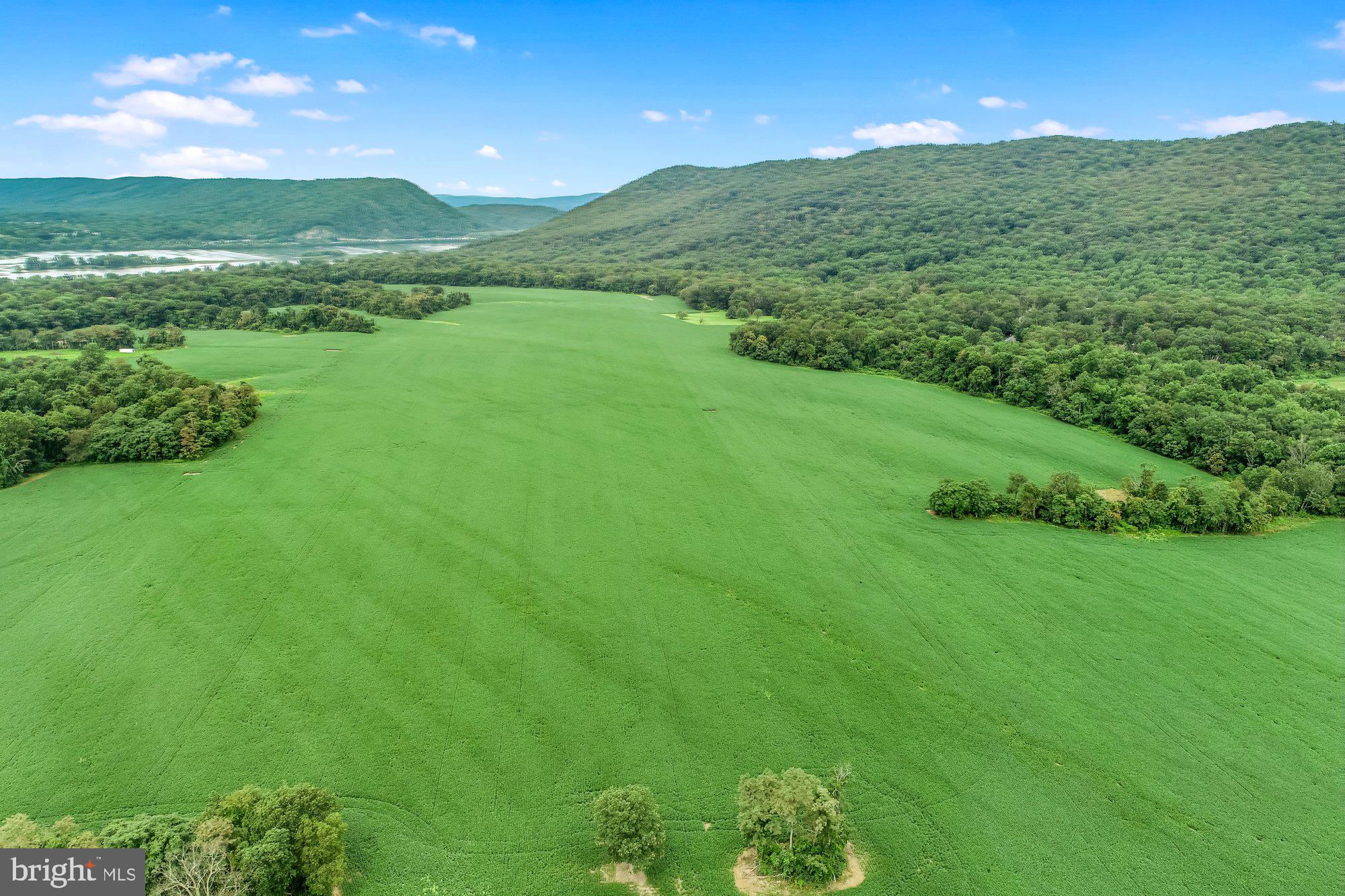 1317 Red Hill Road Dauphin, PA 17018 - Photo 3 of 13