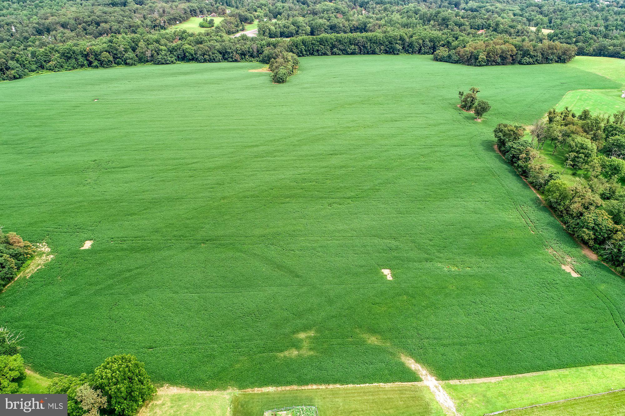 1317 Red Hill Road Dauphin, PA 17018 - Photo 4 of 13