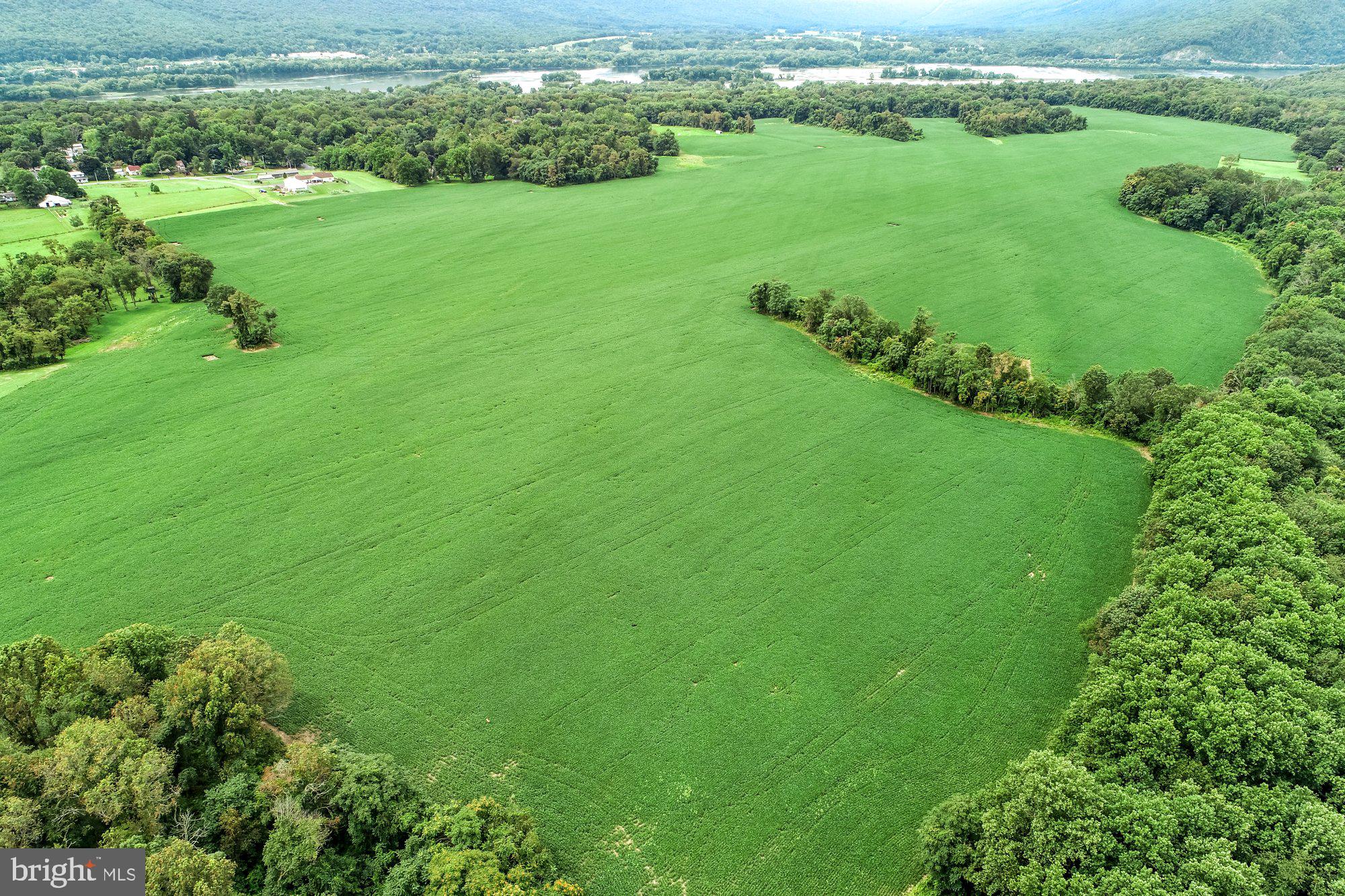 1317 Red Hill Road Dauphin, PA 17018 - Photo 5 of 13