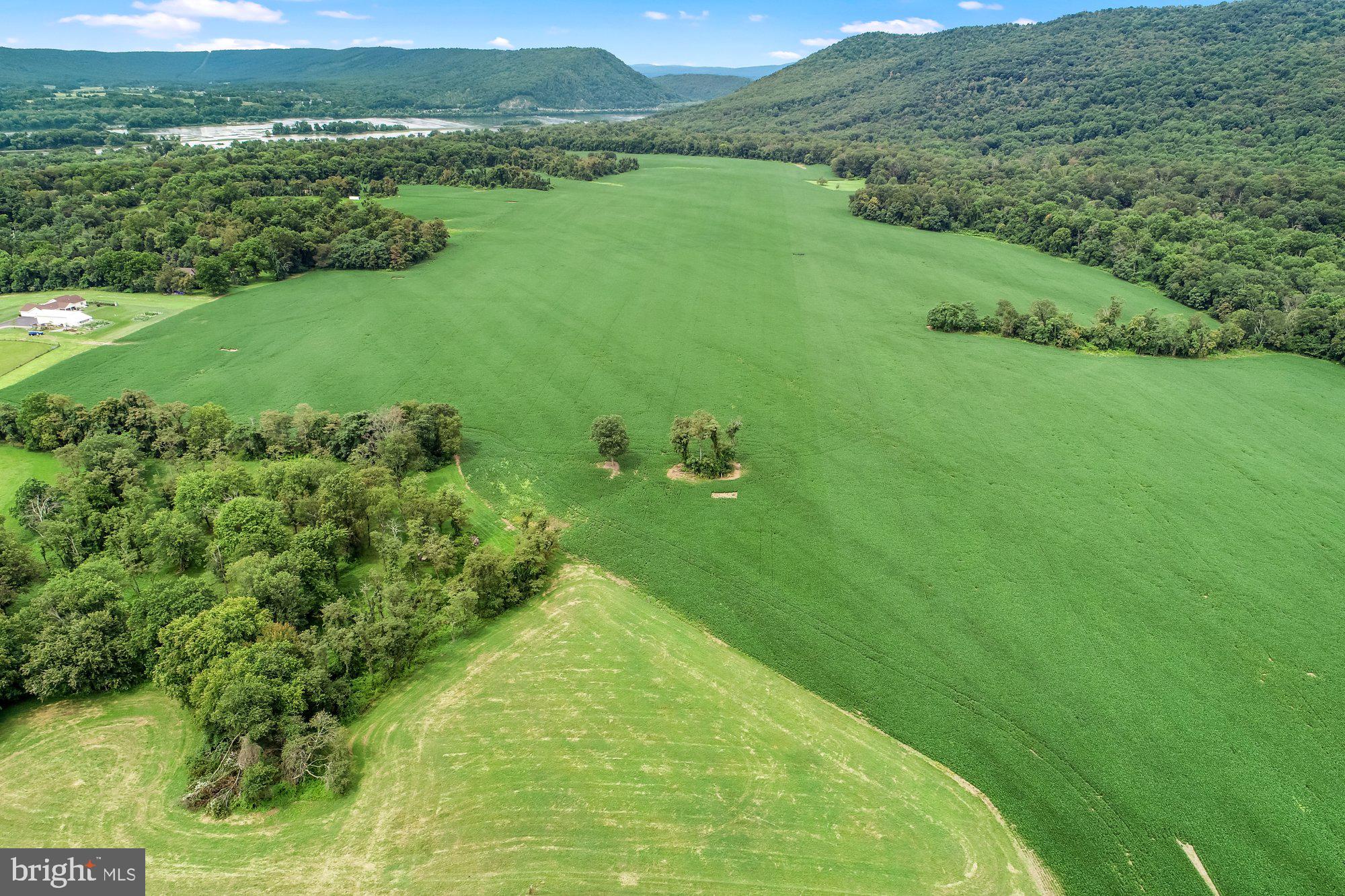 1317 Red Hill Road Dauphin, PA 17018 - Photo 6 of 13