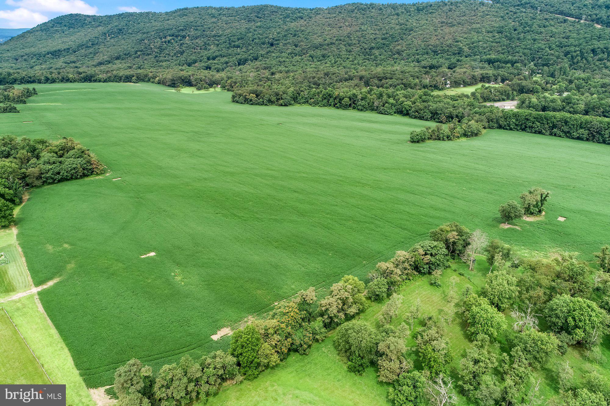 1317 Red Hill Road Dauphin, PA 17018 - Photo 7 of 13