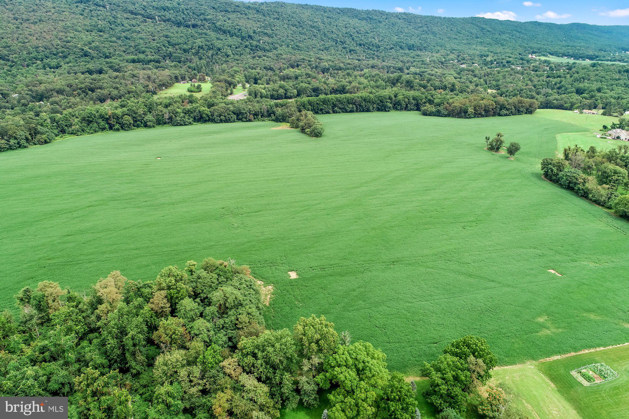 1317 Red Hill Road Dauphin, PA 17018 - Photo 8 of 13